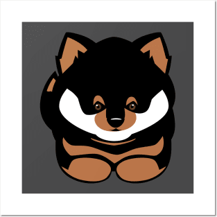 Shiba Inu Puppy Posters and Art